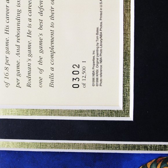 KRSI Limited Edition Original Art Lithograph Chicago Bulls Dennis Rodman - Picture 3 of 4